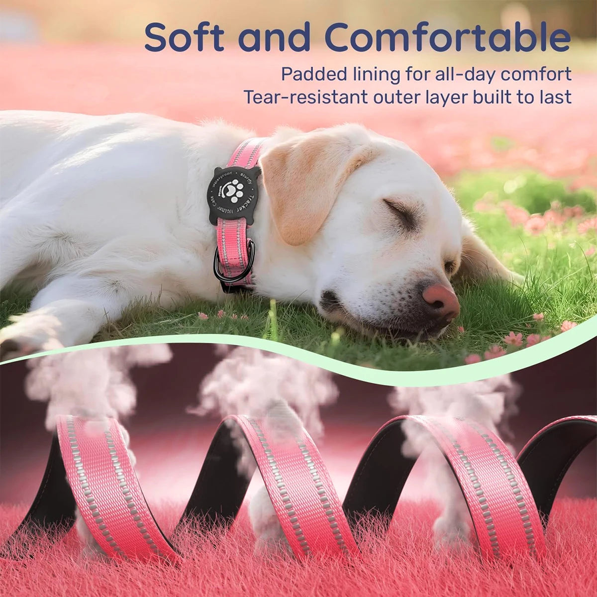Reflective AirTag Dog Collar 🐕✨📍