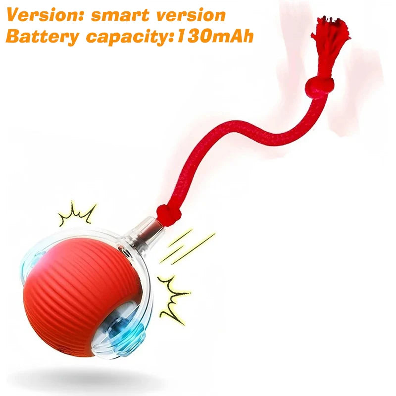Auto Smart Dog Ball 🐶⚙️