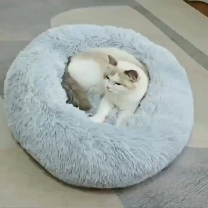 Plush Round Pet Bed 🐾🛏️