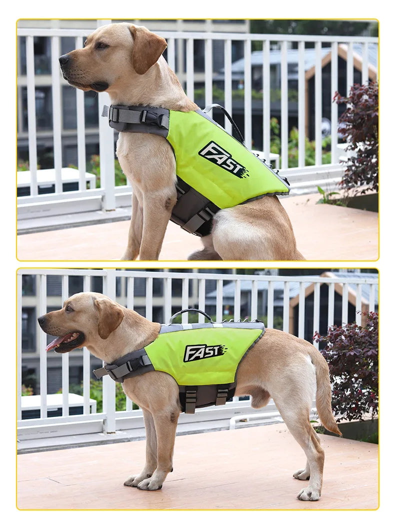 Dog Life Jacket 🐶🛟
