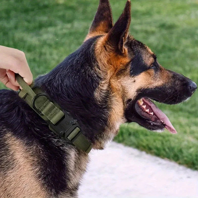 Heavy Duty Tactical Dog Collar 🐕🧭