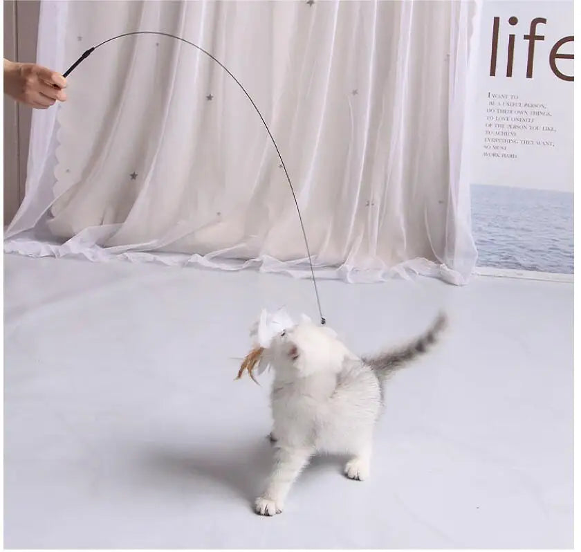 Interactive Feather Cat Teaser Toy 🐱🪶🎉