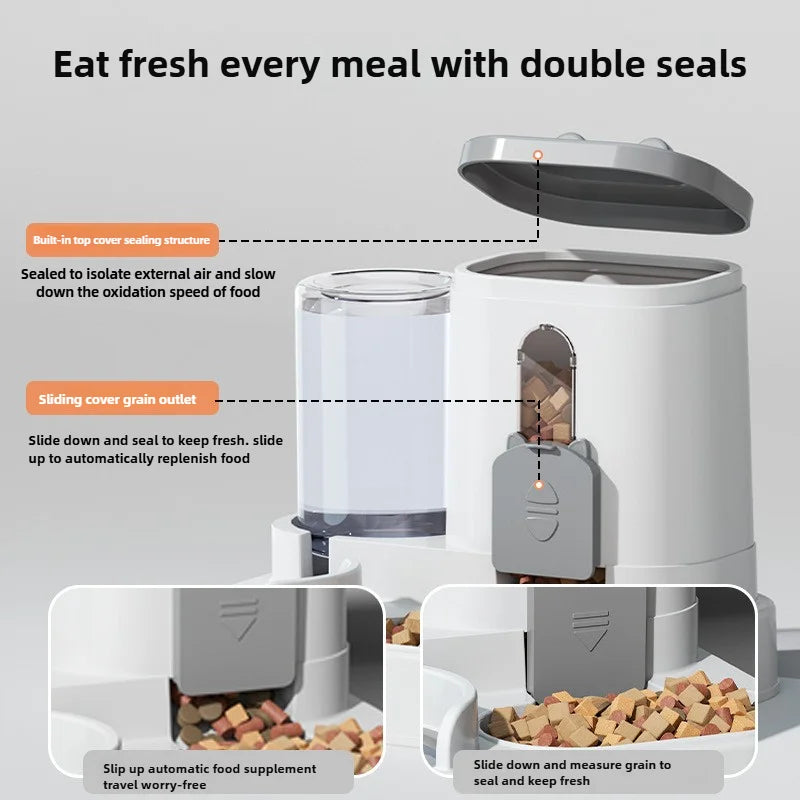 Spill-Proof Auto Pet Feeder & Water Fountain 🐱💧