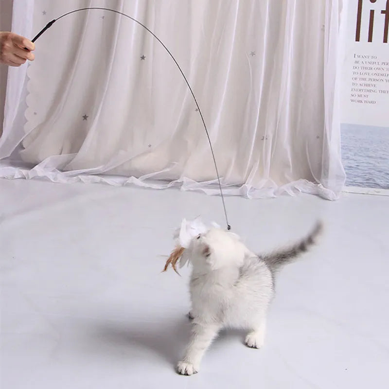 Interactive Feather Cat Teaser Toy 🐱🪶🎉