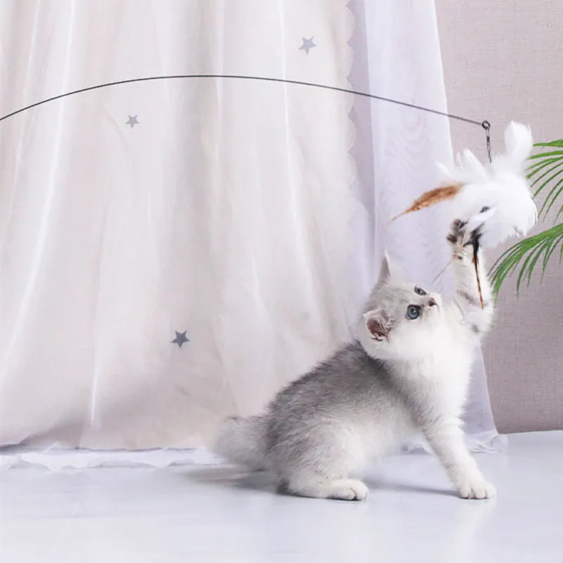 Interactive Feather Cat Teaser Toy 🐱🪶🎉