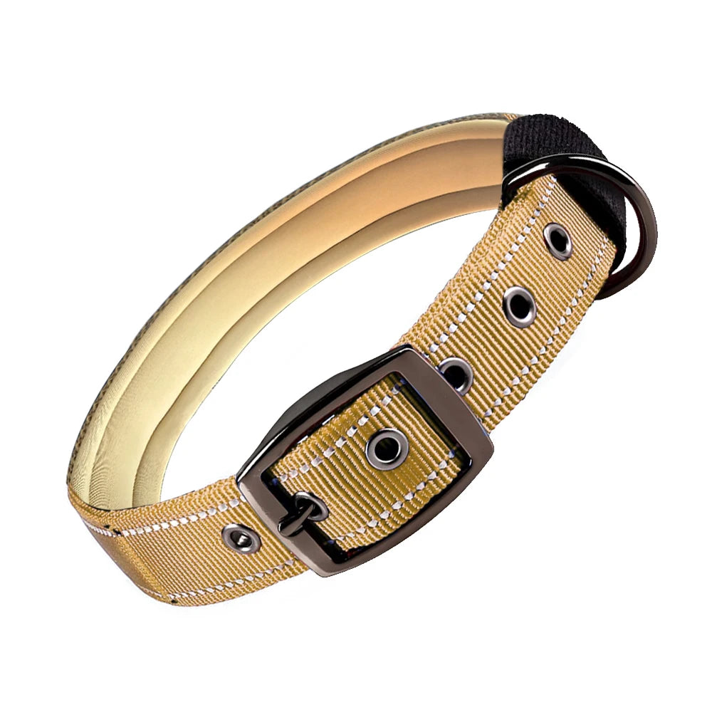 Reflective Dog Collar 🐶✨
