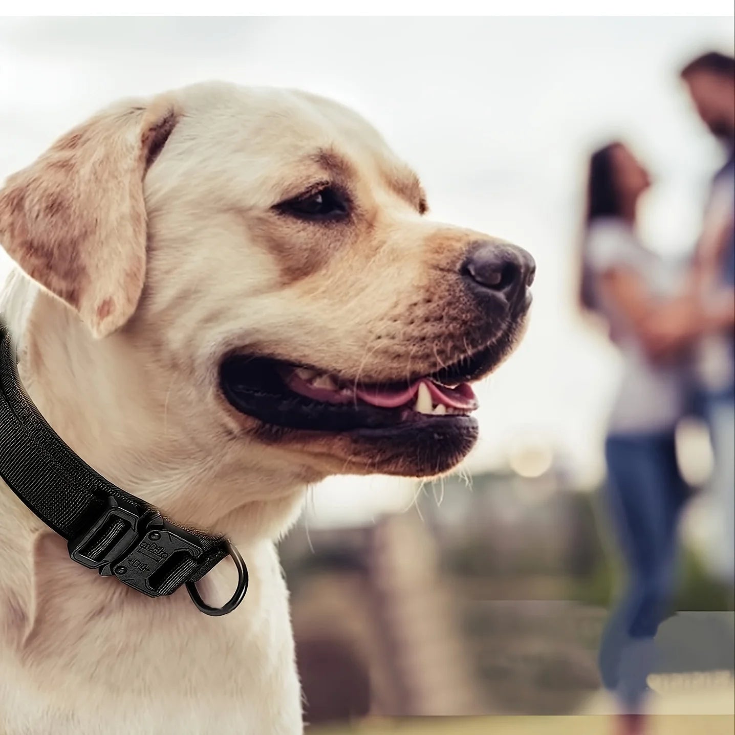 Tactical Dog Collar 🐕🛡️