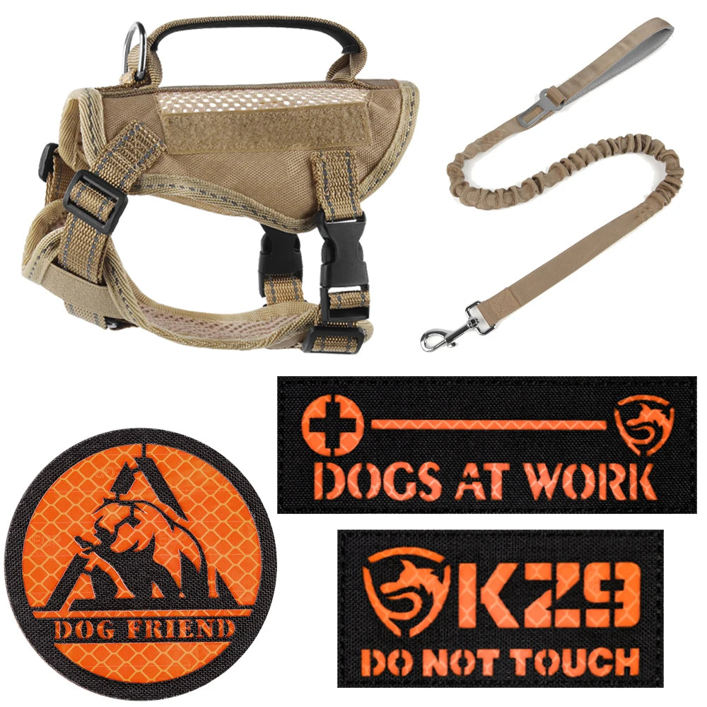 Tactical Cat Harness & Leash 🐱🎽