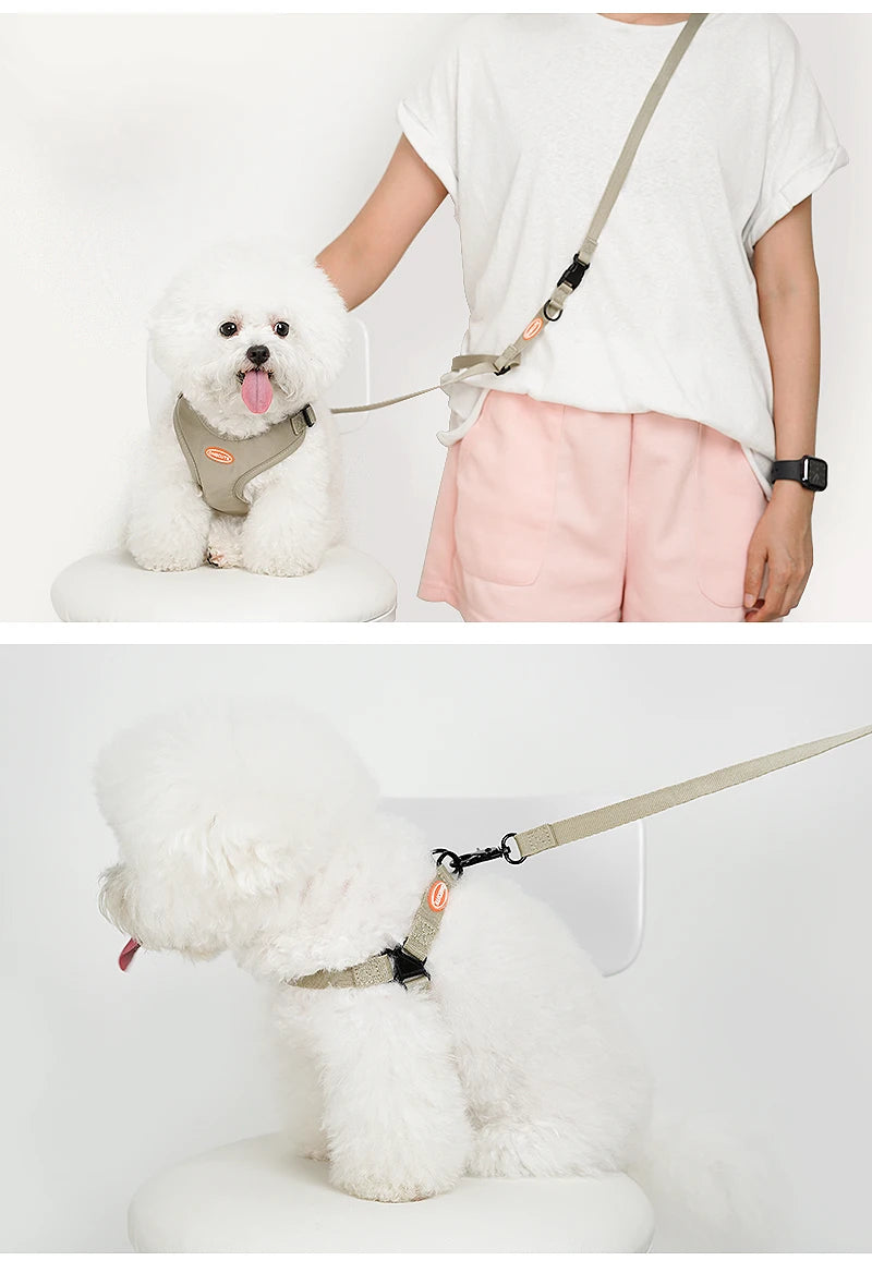 ONECUTE Handsfree Pet Harness 🐕👐