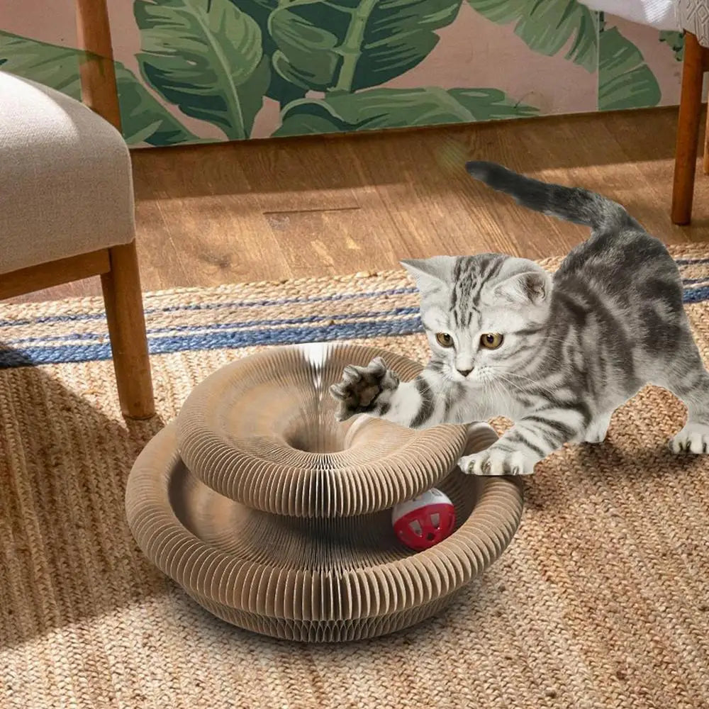 Round Foldable Cat Scratcher Toy 🐱🪵🔔