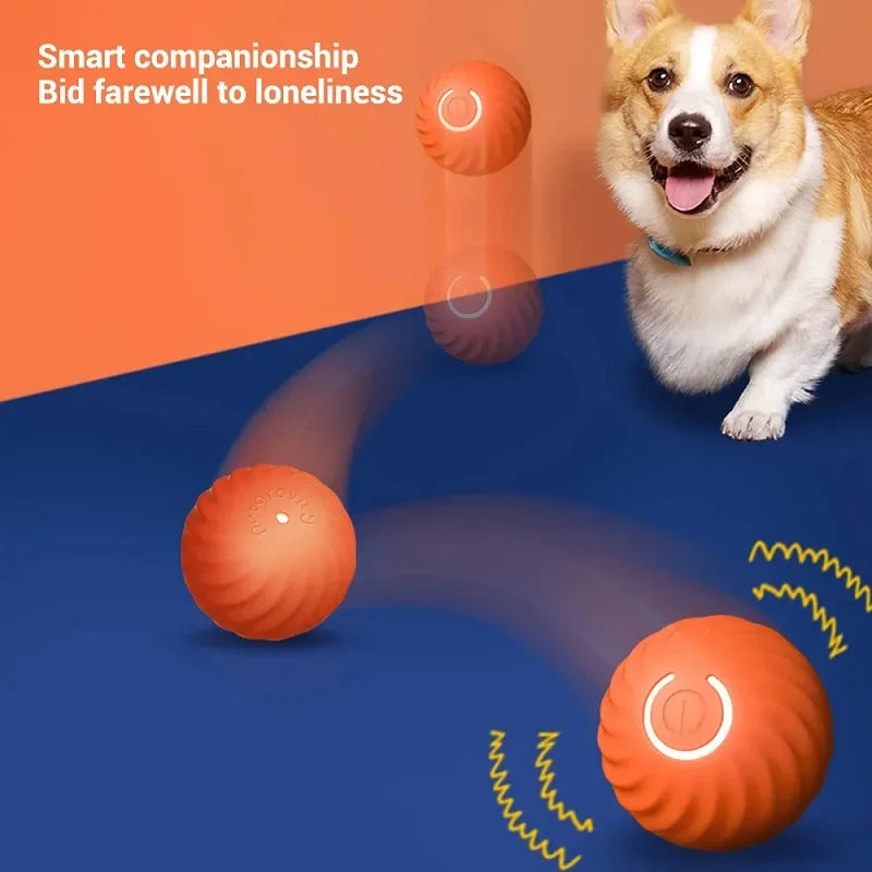 Smart Rolling Dog Ball 🎾⚡