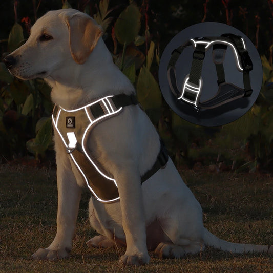 Reflective No-Pull Dog Harness 🐕✨