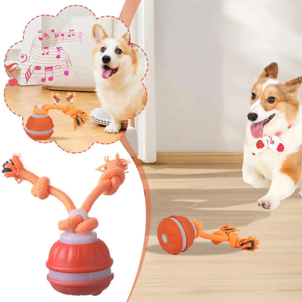Interactive Dog Toy Ball with Rope Electronic Motion Activated Rolling Ball for Indoor Cat Dog Play Toys for Puppy Training Ball