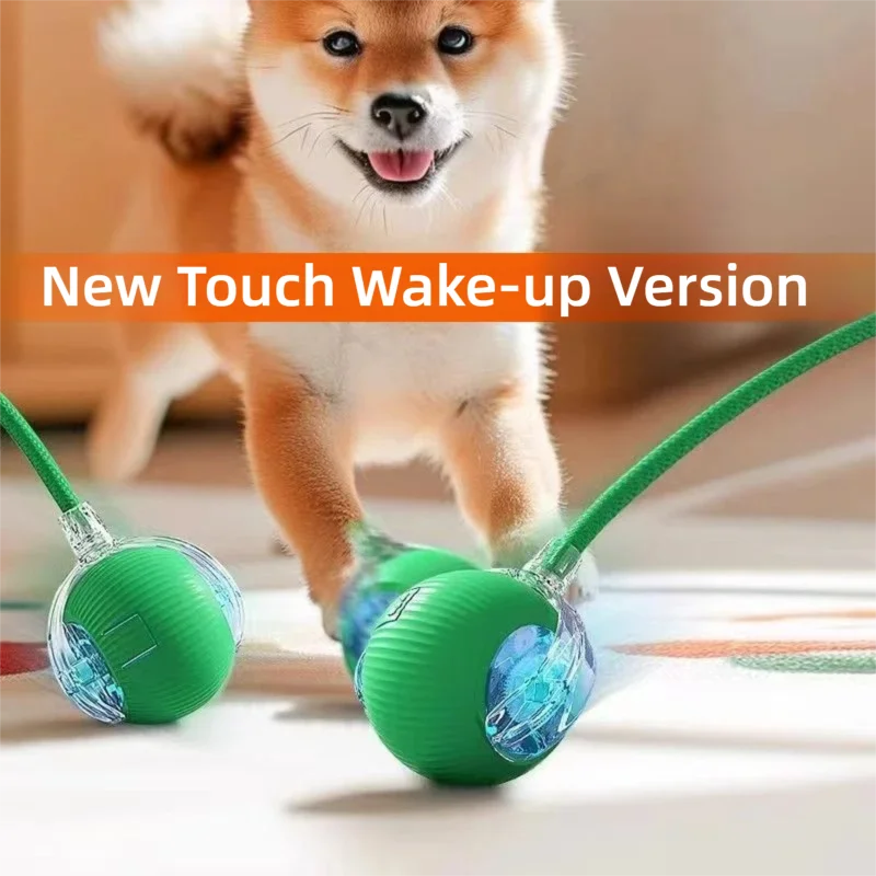 Auto Smart Dog Ball 🐶⚙️