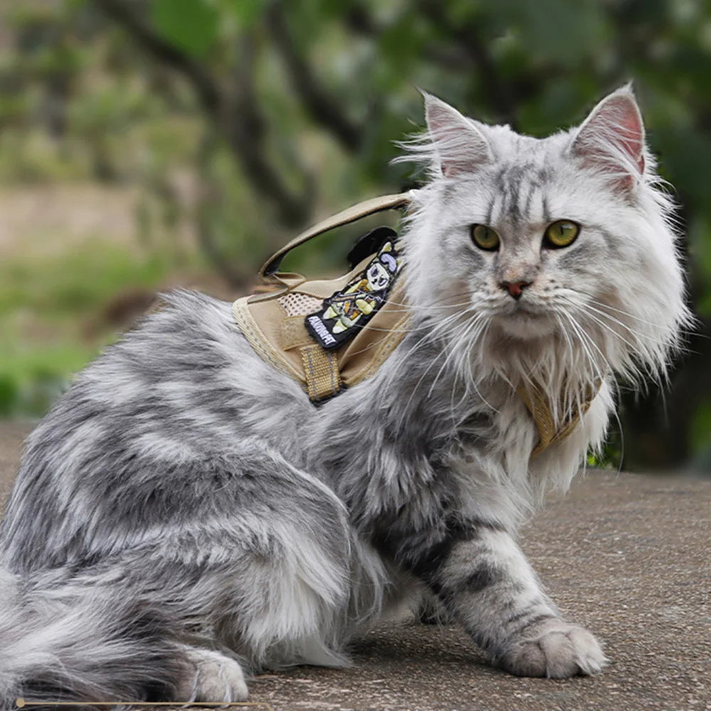 Tactical Cat Harness & Leash 🐱🎽