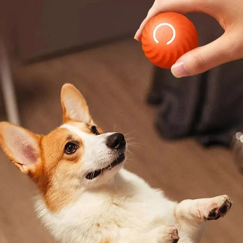 Smart Rolling Dog Ball 🎾⚡