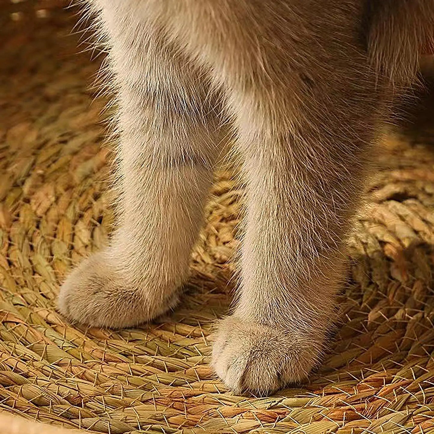 Woven Cat Bed Handmade Vine Woven Cat Nest Seasonal Warmth Pad Cat Bed Cotton Rope Round Bed for Cat Sleep with Pillow
