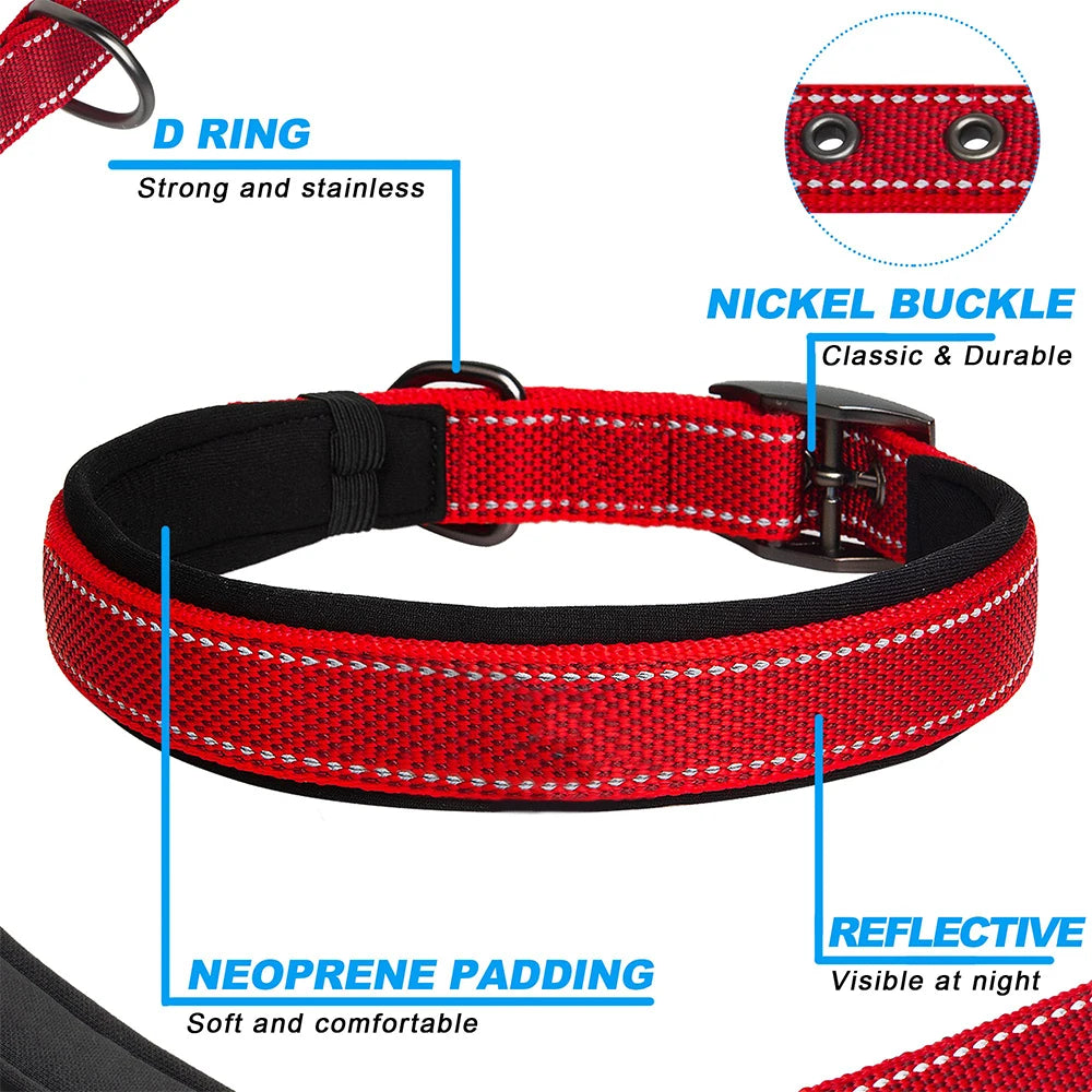 Reflective Dog Collar 🐶✨