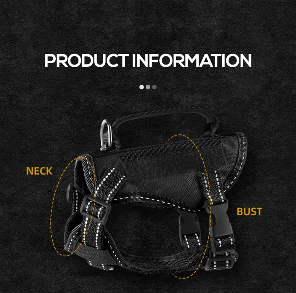 Tactical Cat Harness & Leash 🐱🎽