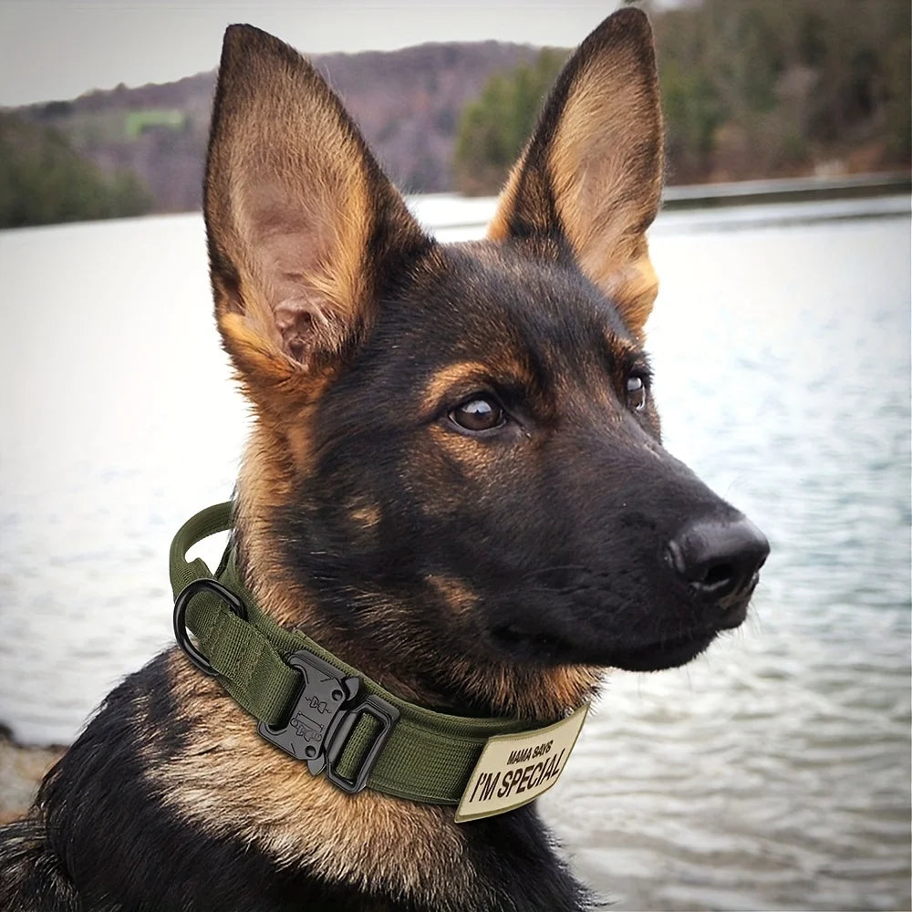 Heavy Duty Tactical Dog Collar 🐕🧭