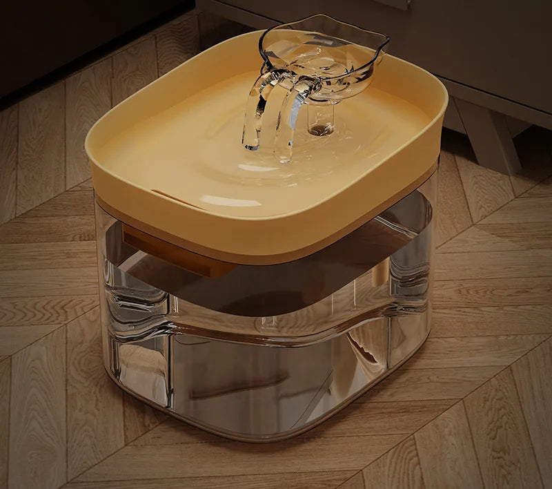 Stainless Steel Auto Pet Feeder & USB Water Bowl 🐶💧