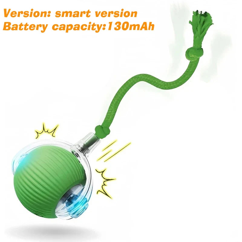 Auto Smart Dog Ball 🐶⚙️