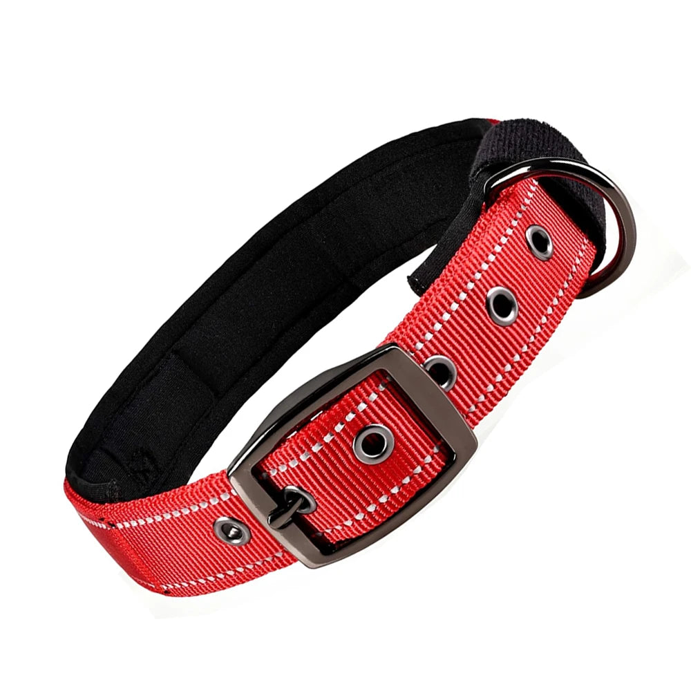 Reflective Dog Collar 🐶✨