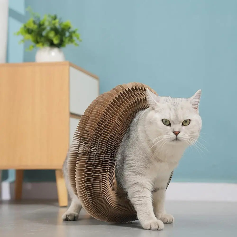 Round Foldable Cat Scratcher Toy 🐱🪵🔔