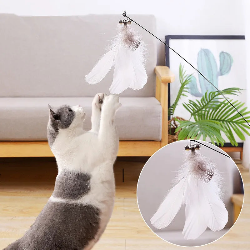 Interactive Feather Cat Teaser Toy 🐱🪶🎉