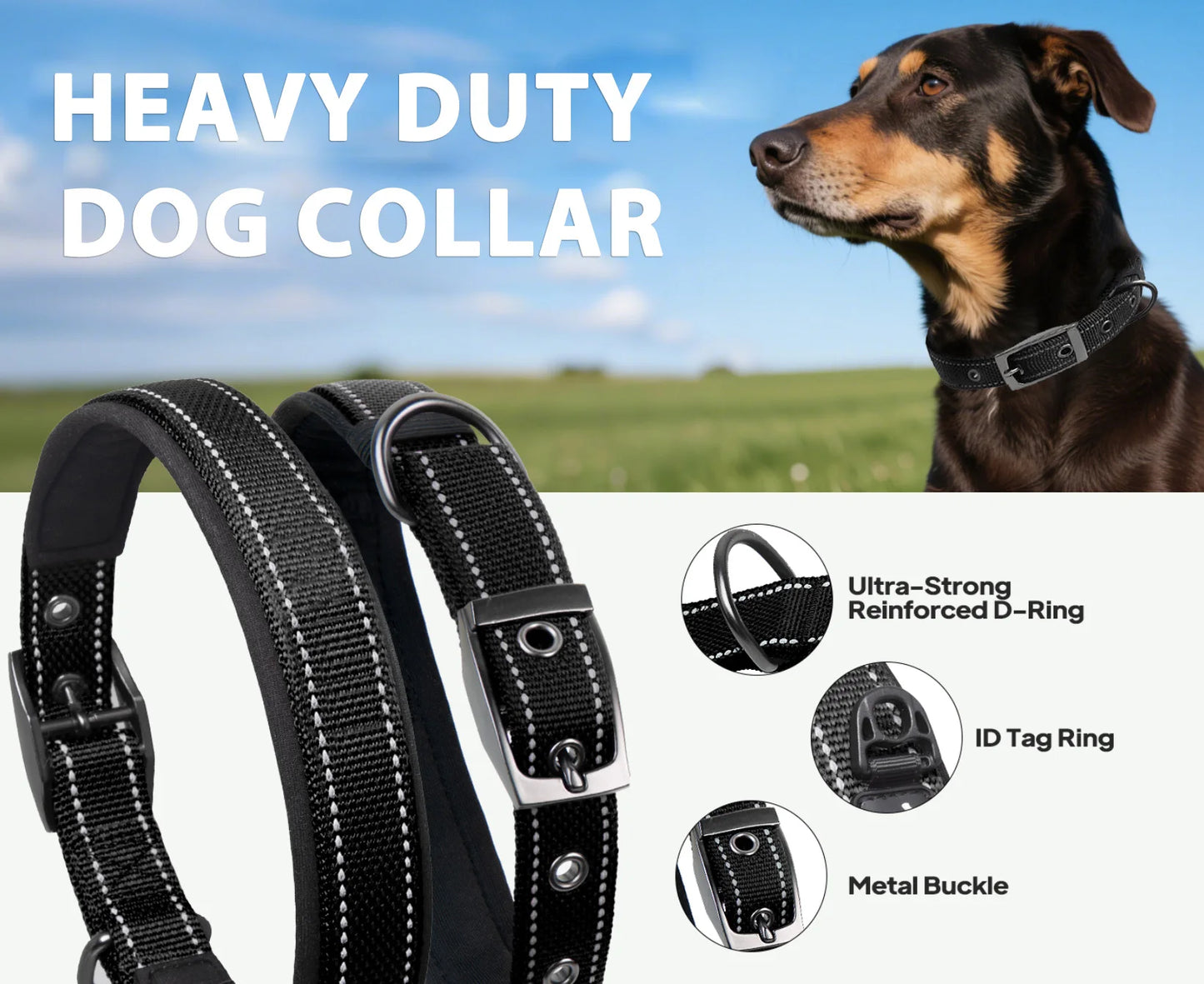 Reflective Dog Collar 🐶✨