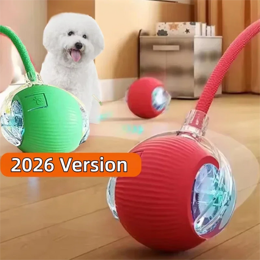 Auto Smart Dog Ball 🐶⚙️