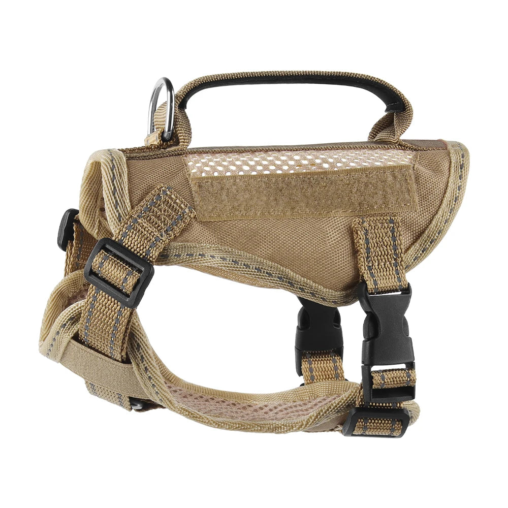 Tactical Cat Harness & Leash 🐱🎽