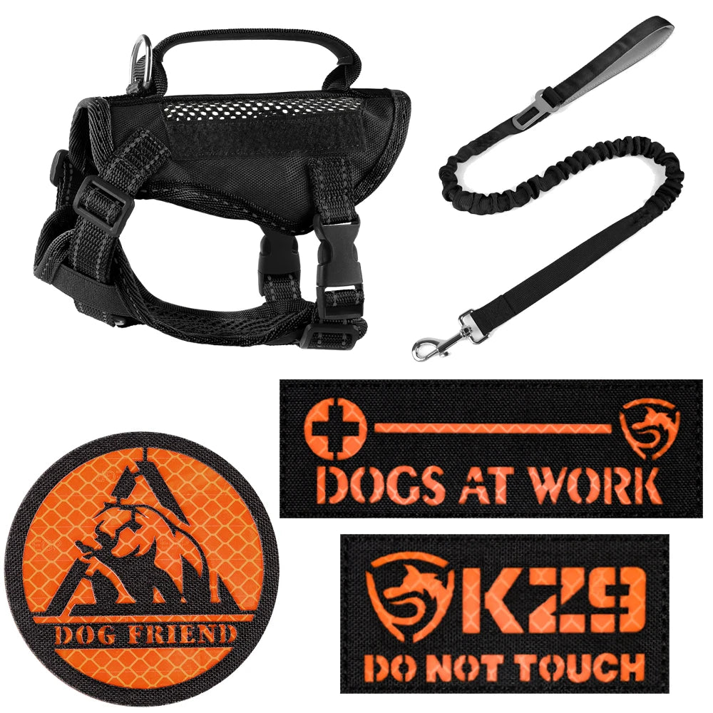 Tactical Cat Harness & Leash 🐱🎽
