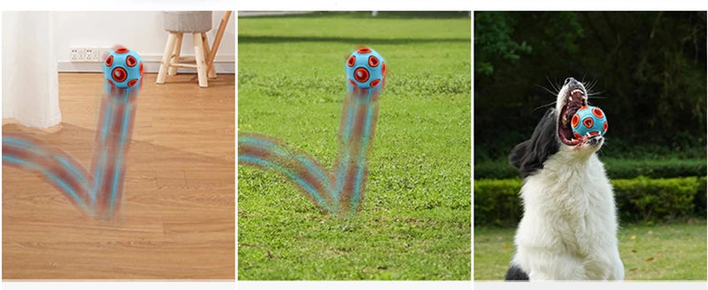 HOOPET Dog Toy Rubber Food Ball 🎾🐕🍖