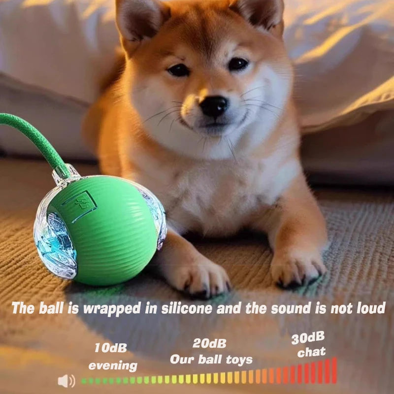 Auto Smart Dog Ball 🐶⚙️
