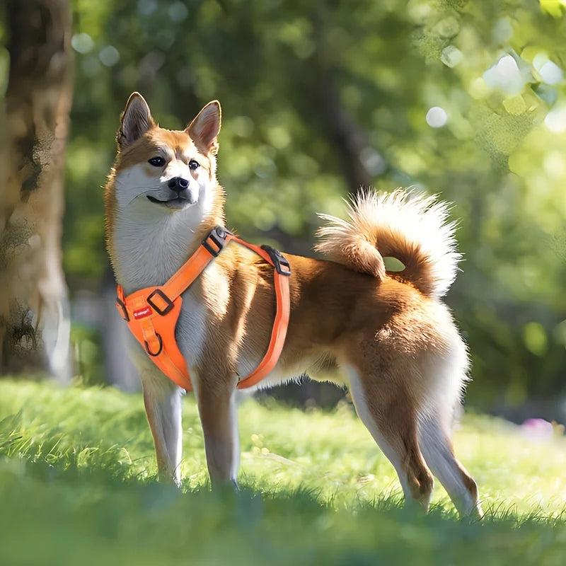 No-Pull Dog Harness 🐕🎽