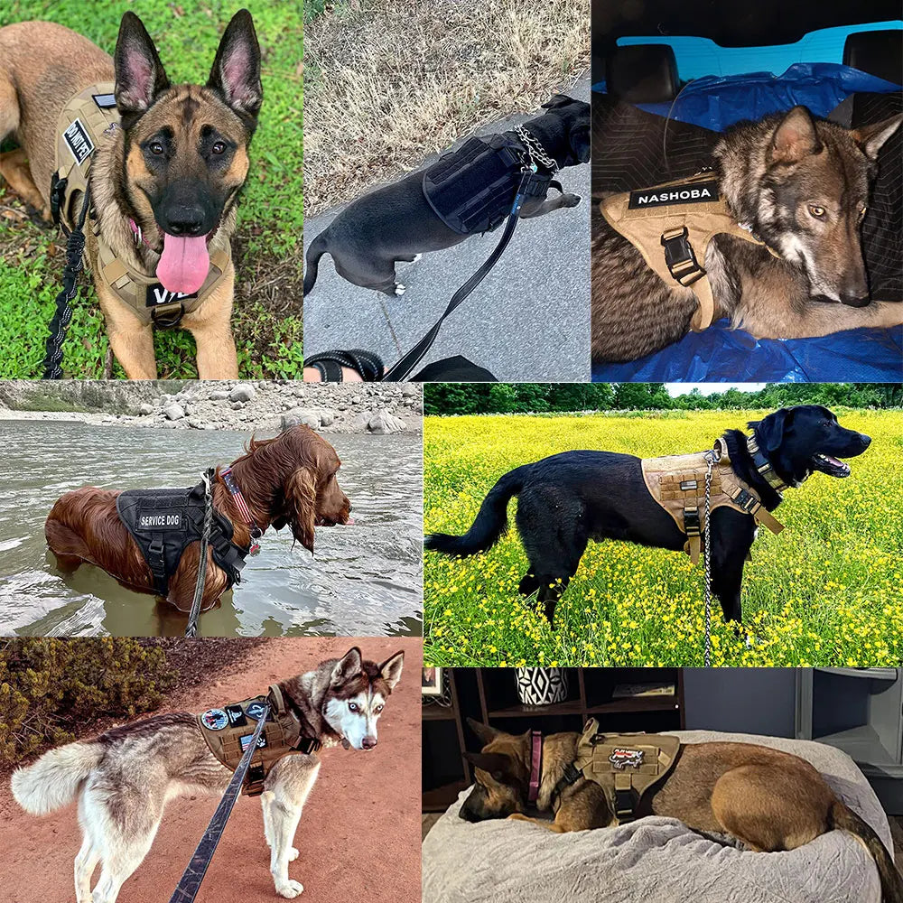 Military Tactical Dog Harness 🐕🎯