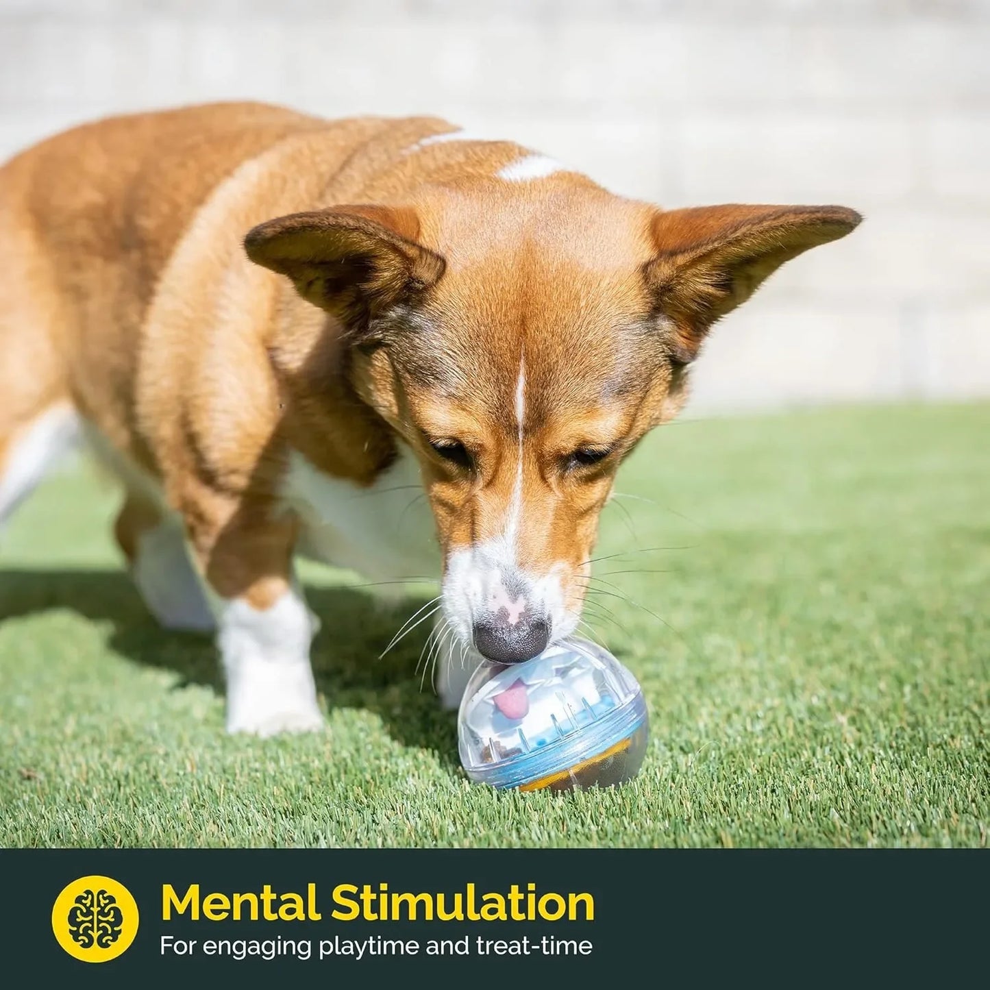 IQ Treat Ball Dog Dispenser Toy (4") 🎾🐕🧠🍖