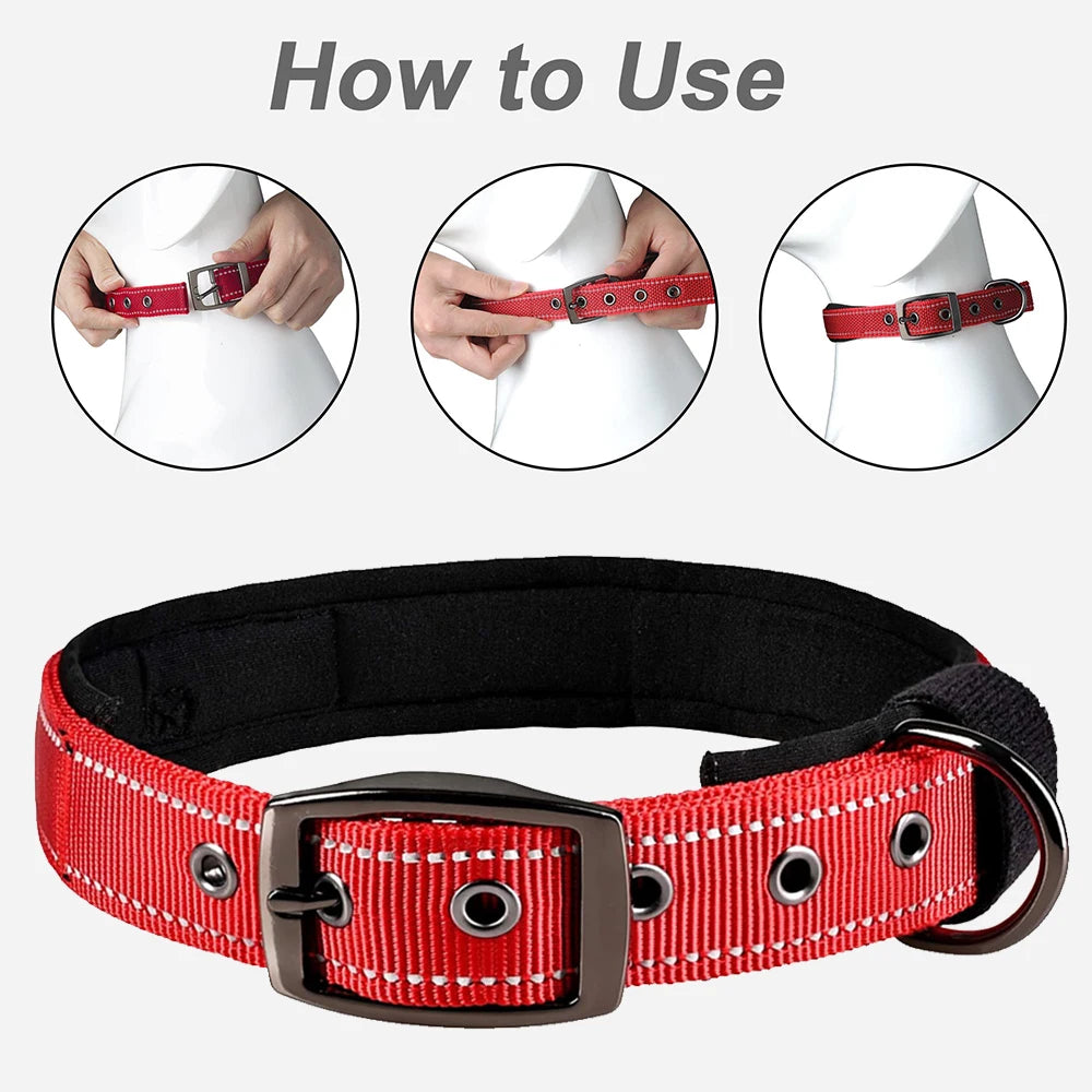 Reflective Dog Collar 🐶✨