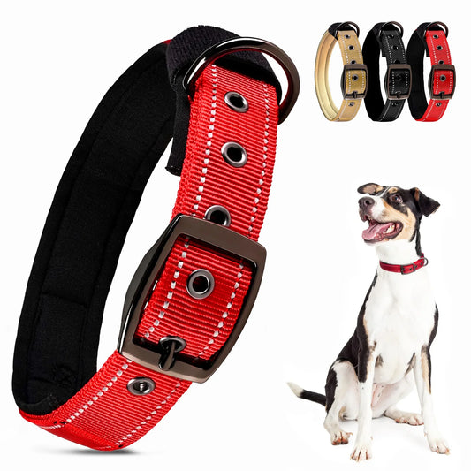 Reflective Dog Collar 🐶✨