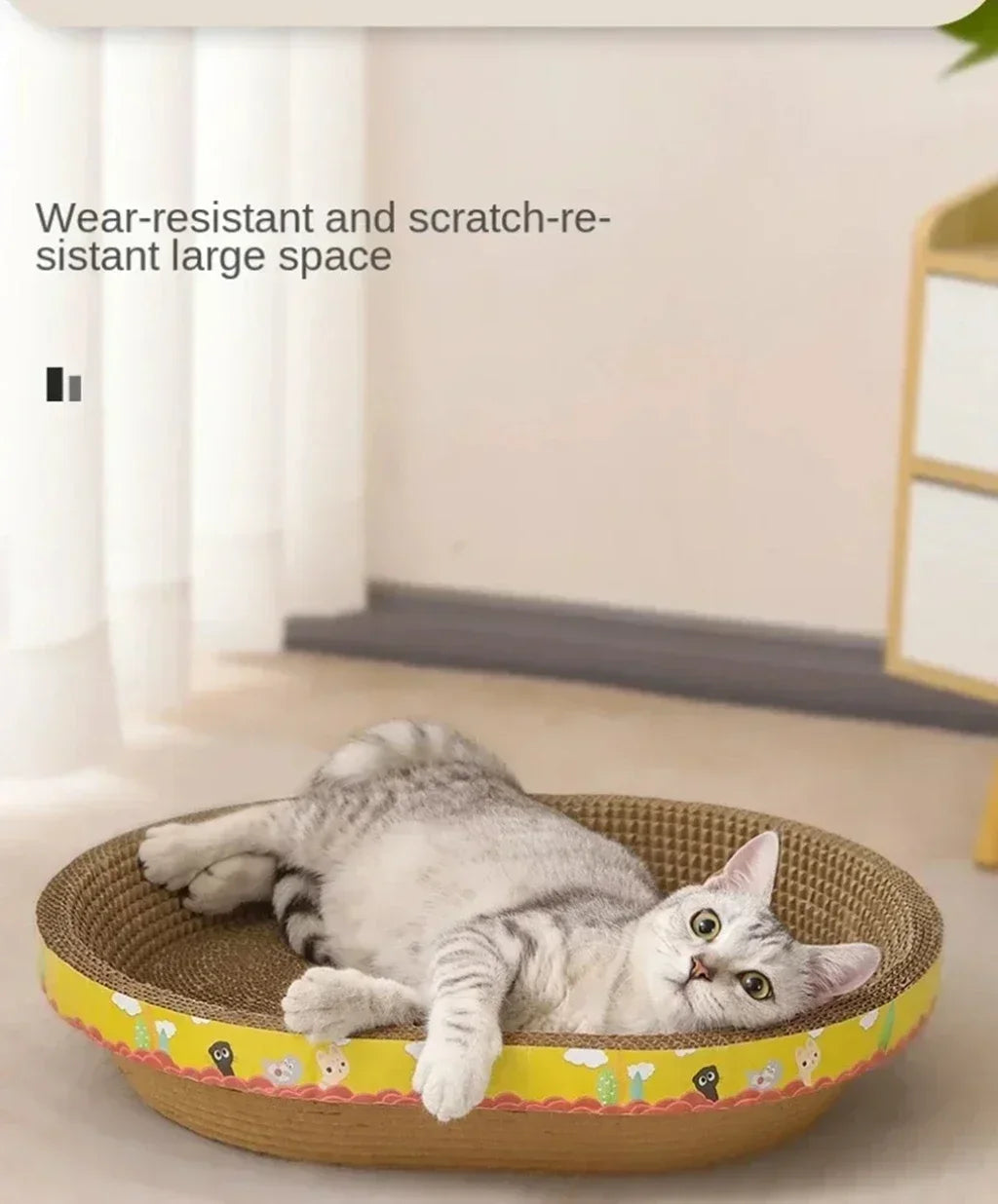 Oval Cat Scratching Board 🐱🪵✨