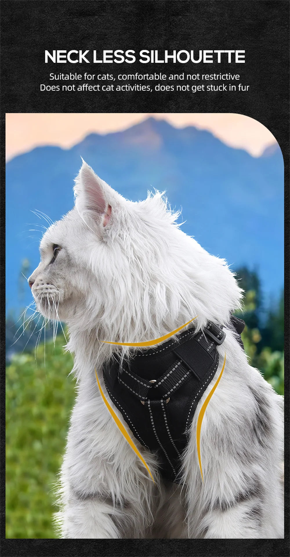 Tactical Cat Harness & Leash 🐱🎽