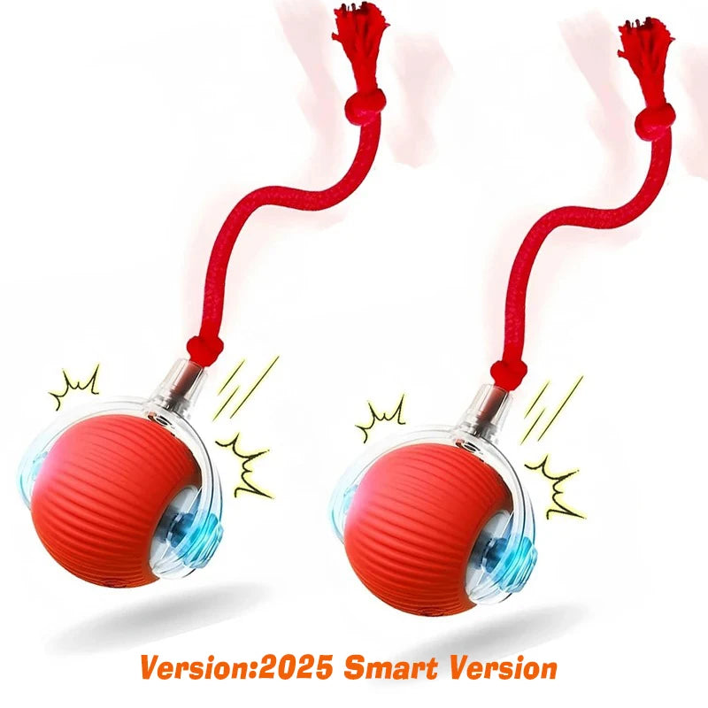 Auto Smart Dog Ball 🐶⚙️