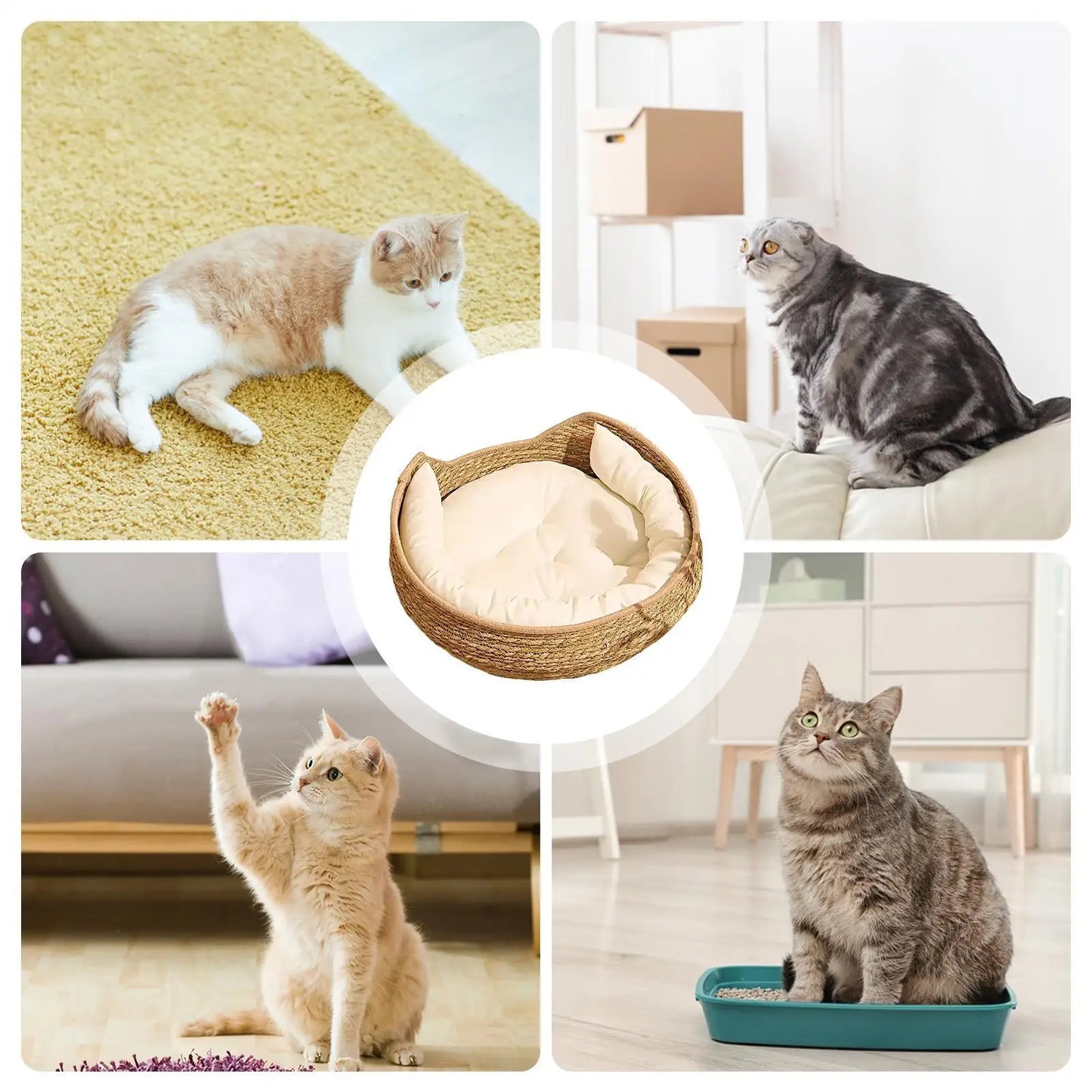 Woven Cat Bed Handmade Vine Woven Cat Nest Seasonal Warmth Pad Cat Bed Cotton Rope Round Bed for Cat Sleep with Pillow
